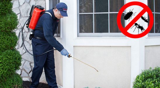 Saray Gümüşkurt İlaçlama böcek ilaçlama ve haşere kontrolü — ilaclama-tr.com